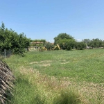 Парцел в с. Цалапица, Област Пловдив - 1350 кв.м за 40 €/кв.м - Снимка #1