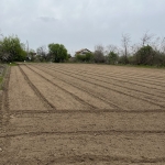 Парцел в с. Мало Конаре, Област Пазарджик - 2445 кв.м за 15 €/кв.м - Снимка #1