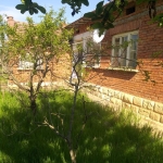 Къща в с. Райнино, Област Разград - 300 кв.м за 63 €/кв.м - Снимка #1