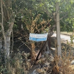 Парцел в Варна, Базар Левски - 900 кв.м за 28 €/кв.м - Снимка #1