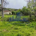 Парцел в Смядово - 1610 кв.м за 4 €/кв.м - Снимка #1