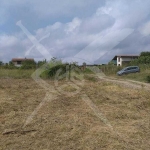 Парцел в с. Веселие, Област Бургас - 1030 кв.м за 20 €/кв.м - Снимка #1