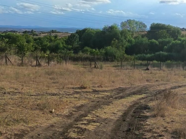 Парцел в Бургас, Меден рудник - зона А - 1198 кв.м за 57 €/кв.м - Снимка #1