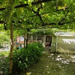 Къща в с. Подвис, Област Бургас - 124 кв.м за 351 €/кв.м - Снимка #1