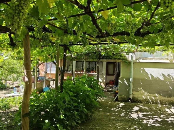 Къща в с. Подвис, Област Бургас - 124 кв.м за 351 €/кв.м - Снимка #1