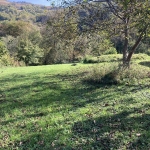 Парцел в с. Рибарица, Област Ловеч - 1616 кв.м за 75 €/кв.м - Снимка #1