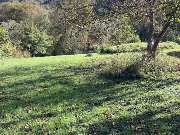 Парцел в с. Рибарица, Област Ловеч - 1616 кв.м за 75 €/кв.м - Снимка #1