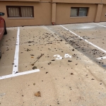 Дава се под наем Гараж / Паркомясто в Варна, Цветен квартал - 14 кв.м за 86.7 € - Снимка #1