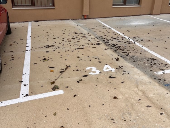 Дава се под наем Гараж / Паркомясто в Варна, Цветен квартал - 14 кв.м за 86.7 € - Снимка #1