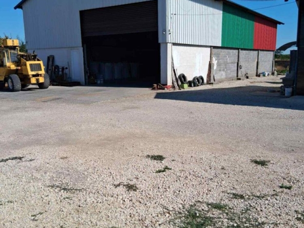 Къща в Бяла Слатина - 50000 кв.м за 4 €/кв.м - Снимка #1