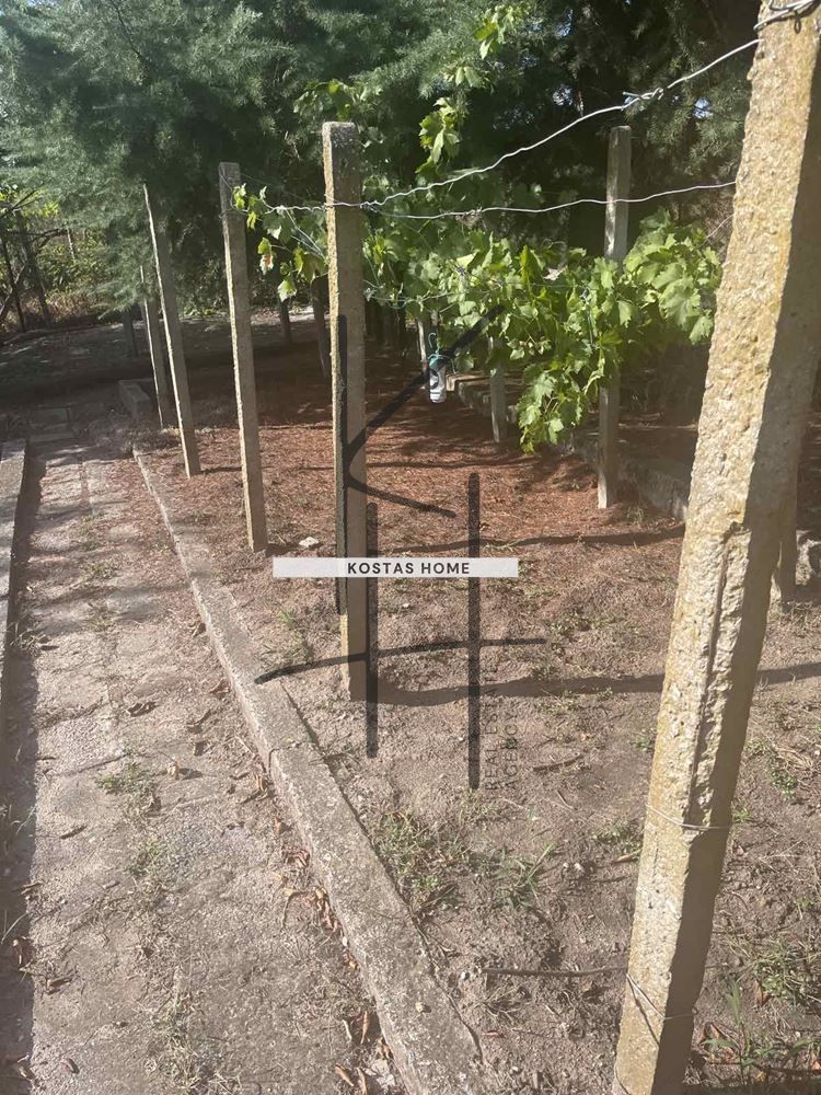 Парцел в Варна, Аспарухово - 620 кв.м за 323 €/кв.м - Снимка #1