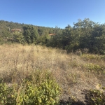 Парцел в с. Храбрино, Област Пловдив - 279 кв.м за 49 €/кв.м - Снимка #1