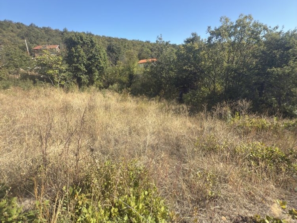 Парцел в с. Храбрино, Област Пловдив - 279 кв.м за 49 €/кв.м - Снимка #1