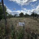 Парцел в с. Големо Бучино, Област Перник - 1100 кв.м за 41 €/кв.м - Снимка #1