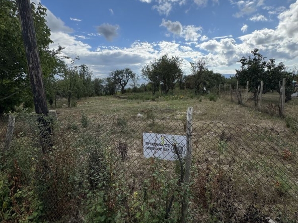 Парцел в с. Големо Бучино, Област Перник - 1100 кв.м за 41 €/кв.м - Снимка #1