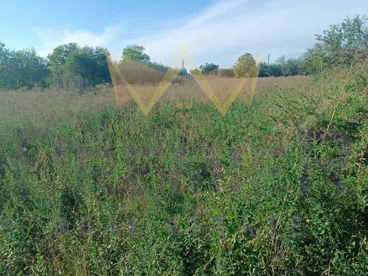 Парцел в с. Генерал Колево, Област Варна - 2532 кв.м за 3 €/кв.м - Снимка #1