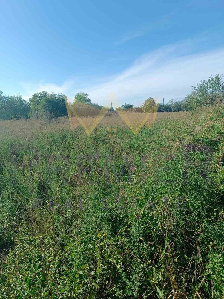 Парцел в с. Генерал Колево, Област Варна - 2532 кв.м за 3 €/кв.м - Снимка #1