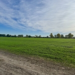 Парцел в с. Ягодово, Област Пловдив - 4215 кв.м за 21 €/кв.м - Снимка #1