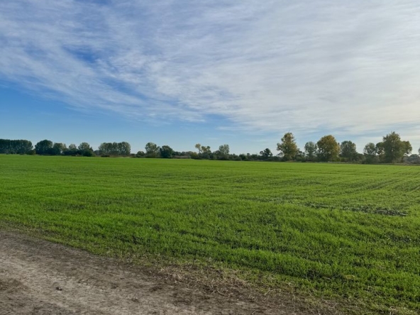 Парцел в с. Ягодово, Област Пловдив - 4215 кв.м за 21 €/кв.м - Снимка #1