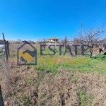 Парцел в с. Радиново, Област Пловдив - 2454 кв.м за 49 €/кв.м - Снимка #1