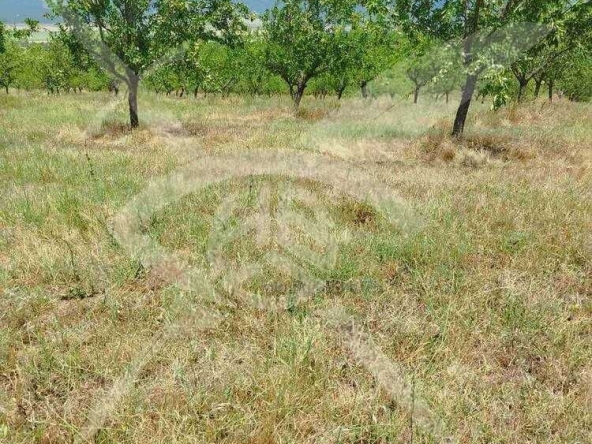 Парцел в с. Страцин, Област Бургас - 19531 кв.м за 2 €/кв.м - Снимка #1