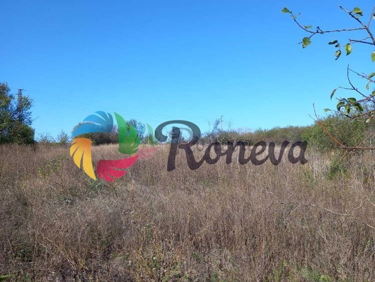 Парцел в с. Войводино, Област Варна - 2400 кв.м за 8 €/кв.м - Снимка #1