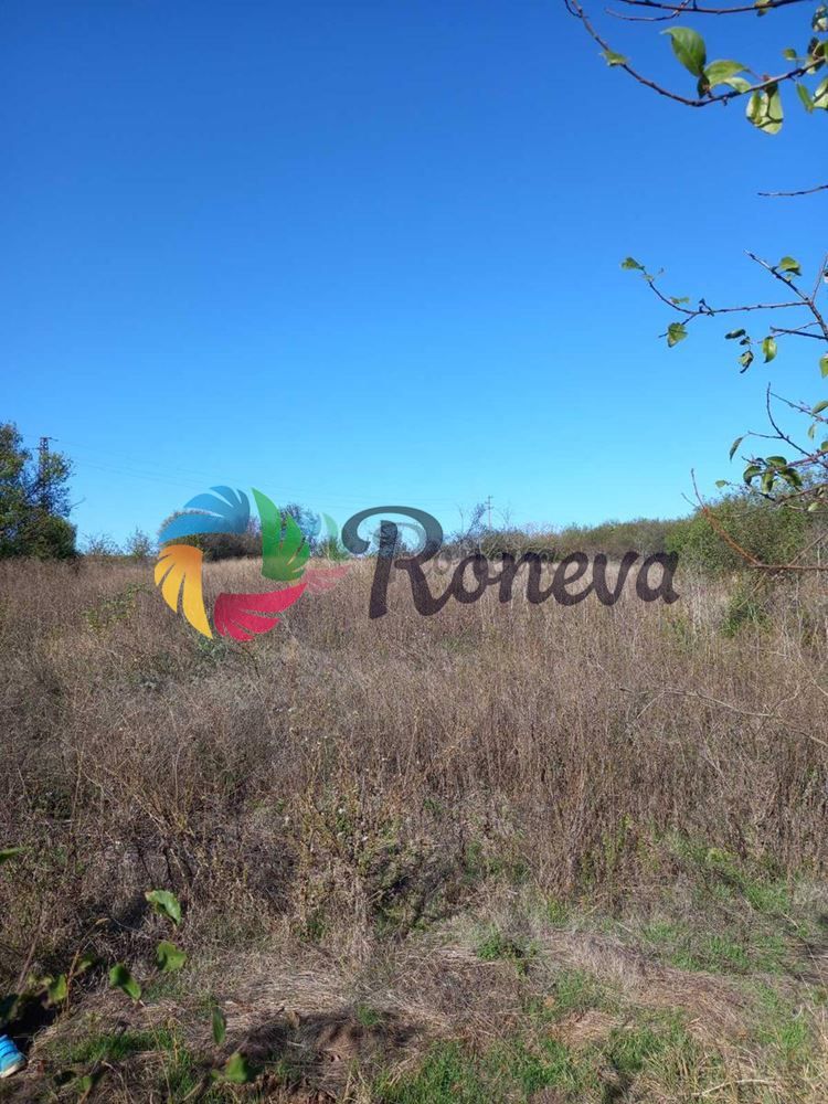 Парцел в с. Войводино, Област Варна - 2400 кв.м за 8 €/кв.м - Снимка #1