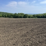 Парцел в Обзор - 1043 кв.м за 9 €/кв.м - Снимка #1