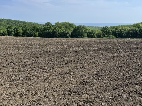 Парцел в Обзор - 1043 кв.м за 9 €/кв.м - Снимка #1