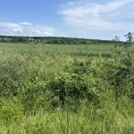 Парцел в Обзор - 760 кв.м за 10 €/кв.м - Снимка #1