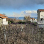 Парцел в к.к. Златни пясъци - 551 кв.м за 60 €/кв.м - Снимка #1