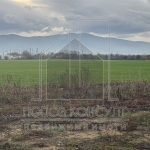 Парцел в Асеновград - 2156 кв.м за 24 €/кв.м - Снимка #1