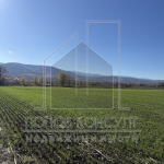 Парцел в с. Белащица, Област Пловдив - 5901 кв.м за 17 €/кв.м - Снимка #1