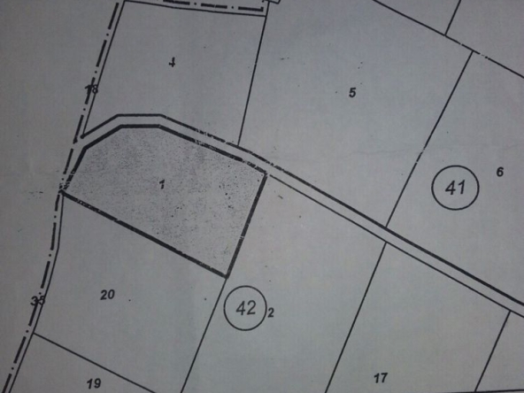 Парцел в с. Опанец, Област Плевен - 1250 кв.м за 13 €/кв.м - Снимка #1