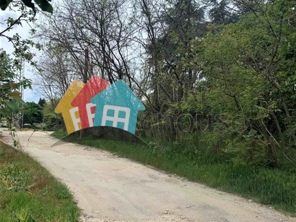 Парцел в Варна, м-т Боровец - юг - 3688 кв.м за 28 €/кв.м - Снимка #1