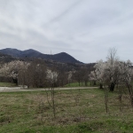 Парцел в с. Ямна, Област София-област - 828 кв.м за 14 €/кв.м - Снимка #1