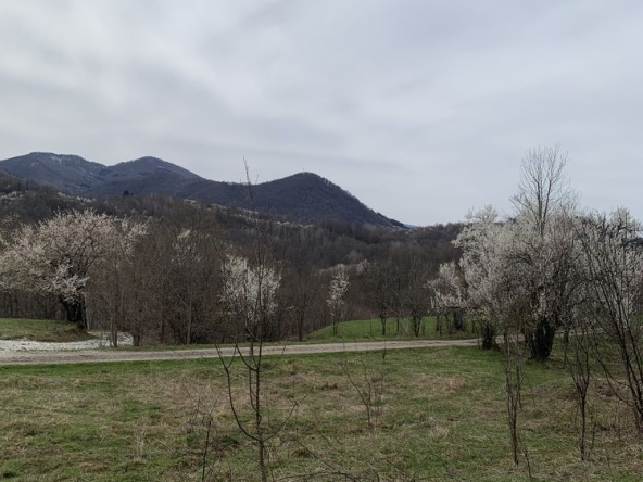 Парцел в с. Ямна, Област София-област - 828 кв.м за 14 €/кв.м - Снимка #1