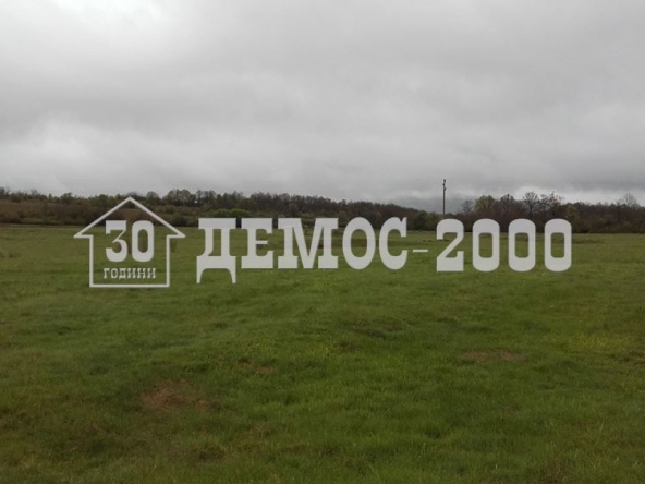 Парцел в Елена - 48000 кв.м за 1 €/кв.м - Снимка #1