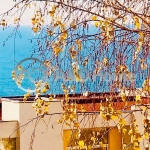 Едностаен апартамент в Свети Влас - 53 кв.м за 1189 €/кв.м - Снимка #1