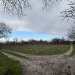 Парцел в с. Страшимирово, Област Варна - 1000 кв.м за 18 €/кв.м - Снимка #1