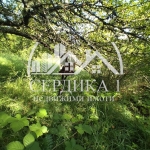 Парцел в с. Горна Диканя, Област Перник - 1290 кв.м за 24 €/кв.м - Снимка #1