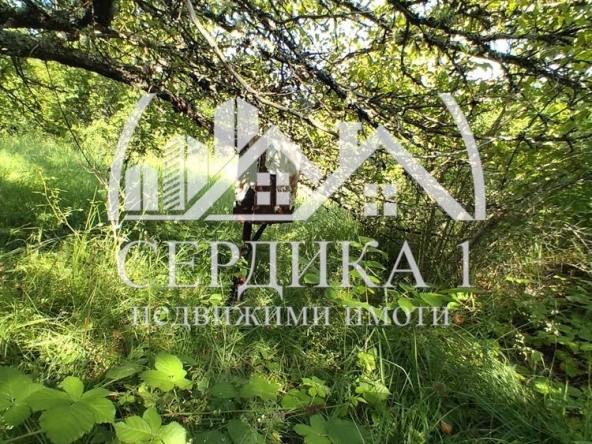 Парцел в с. Горна Диканя, Област Перник - 1290 кв.м за 24 €/кв.м - Снимка #1