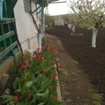 Земеделски имот в Айтос -  кв.м за 12920 €/дка - Снимка #1