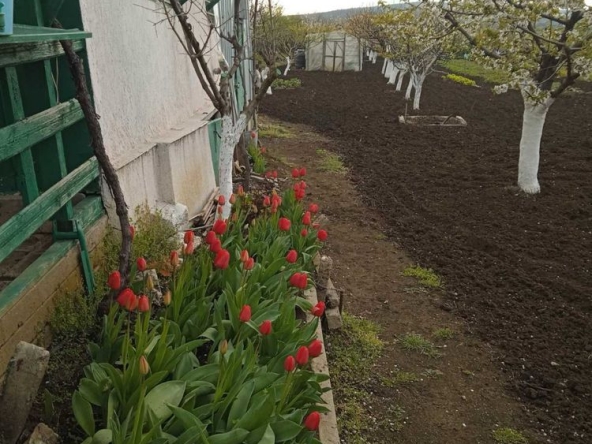 Земеделски имот в Айтос -  кв.м за 12920 €/дка - Снимка #1