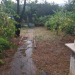 Къща в с. Винище, Област Монтана - 1800 кв.м за 7 €/кв.м - Снимка #1