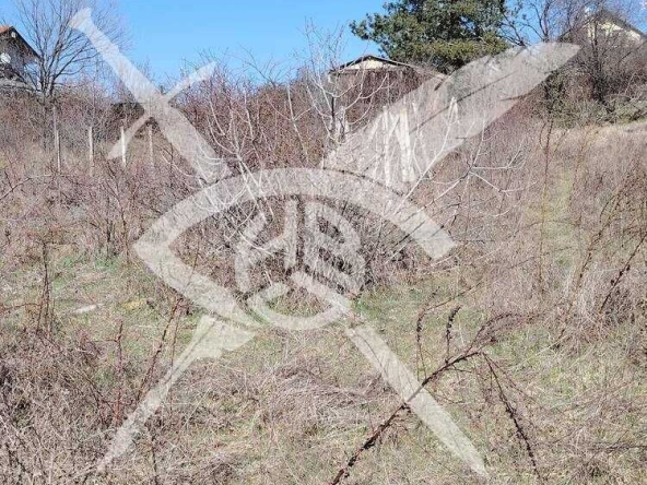 Парцел в с. Изворище, Област Бургас - 1000 кв.м за 11 €/кв.м - Снимка #1