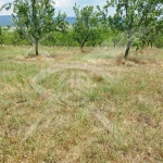 Парцел в с. Страцин, Област Бургас - 19531 кв.м за 2 €/кв.м - Снимка #1