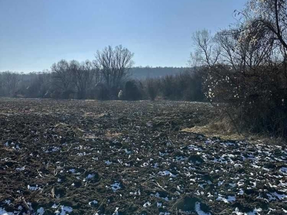 Парцел в София, Филиповци - 3847 кв.м за 10 €/кв.м - Снимка #1