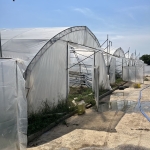 Земеделски имот в с. Оризово, Област Стара Загора -  кв.м за 42500 €/дка - Снимка #1