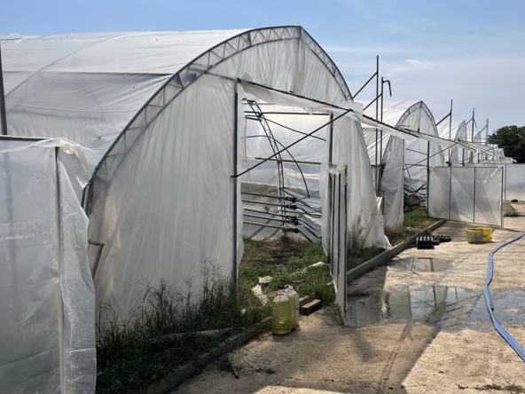 Земеделски имот в с. Оризово, Област Стара Загора -  кв.м за 42500 €/дка - Снимка #1